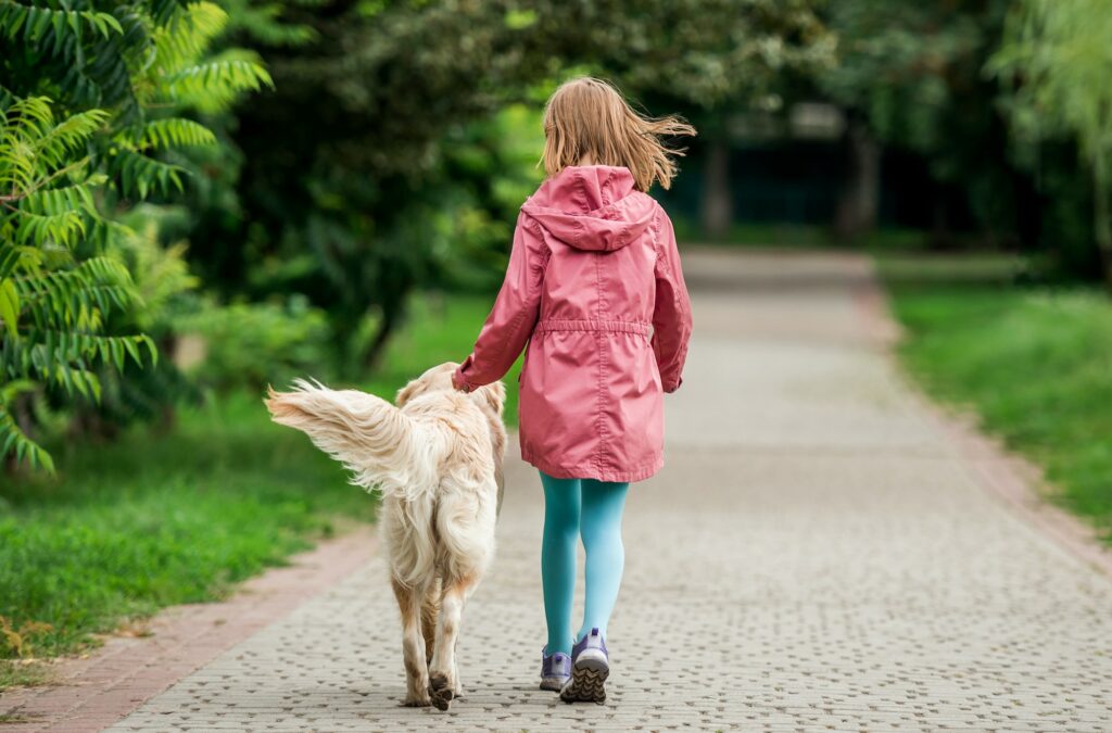 The Benefits of Walking Your Dog