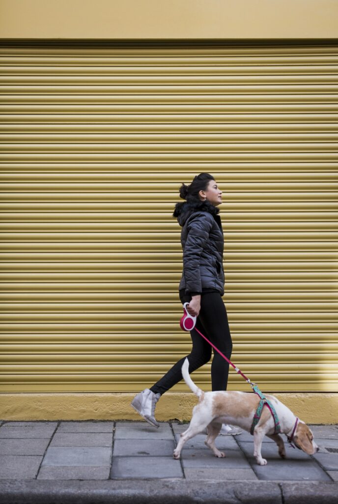 The Benefits of Walking Your Dog